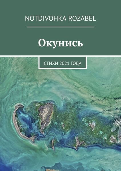 Обложка книги  «Окунись. Стихи 2021 года»