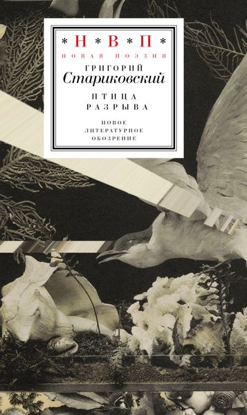Обложка книги  «Птица разрыва»