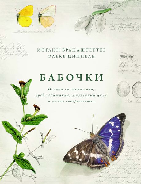 Обложка книги  «Бабочки. Основы систематики, среда обитания, жизненный цикл и магия совершенства»