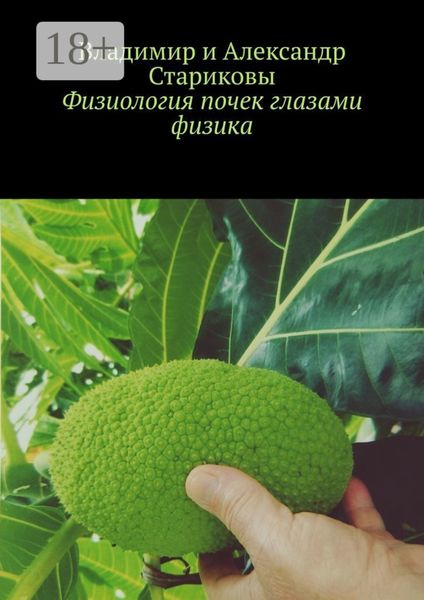Обложка книги  «Физиология почек глазами физика»
