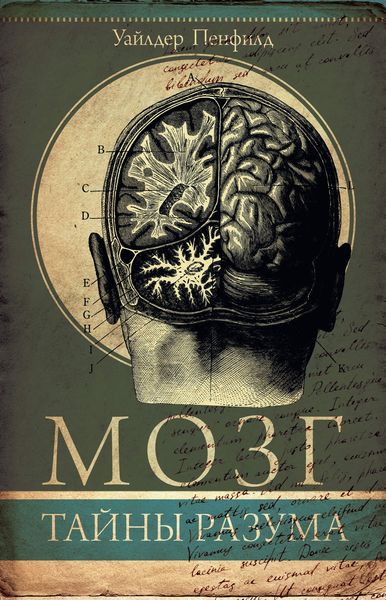 Обложка книги «Мозг. Тайны разума»