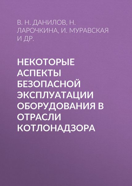 Обложка книги  «Некоторые аспекты безопасной эксплуатации оборудования в отрасли котлонадзора»