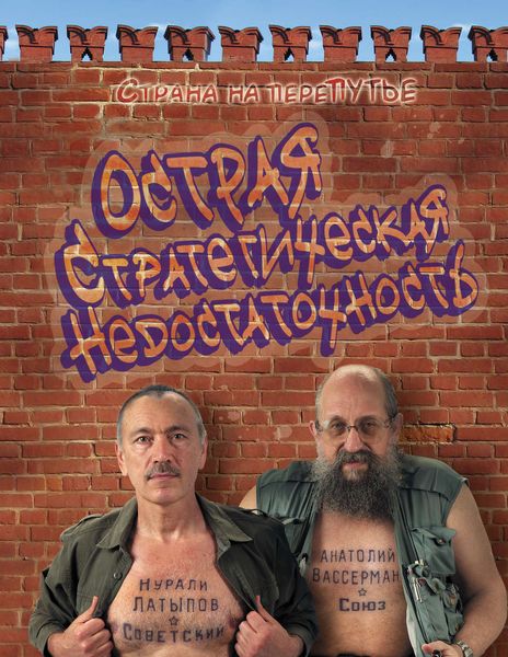 Обложка книги  «Острая стратегическая недостаточность. Страна на переПутье»