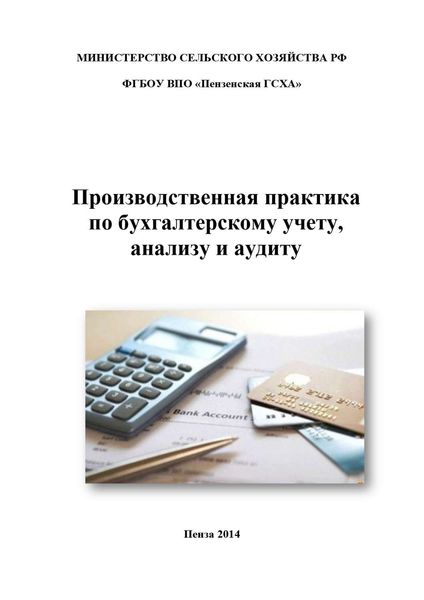 Обложка книги  «Производственная практика по бухгалтерскому учету, анализу и аудиту»
