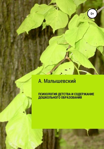Обложка книги  «Психология детства и содержание дошкольного образования»