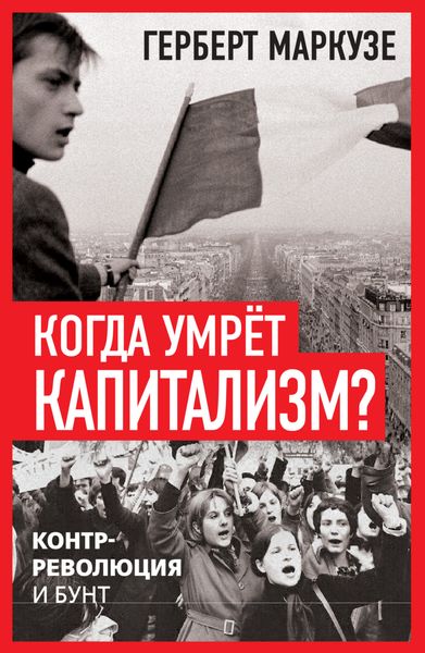 Обложка книги  «Когда умрёт капитализм? Контрреволюция и бунт»