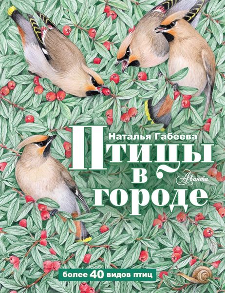 Обложка книги  «Птицы в городе»