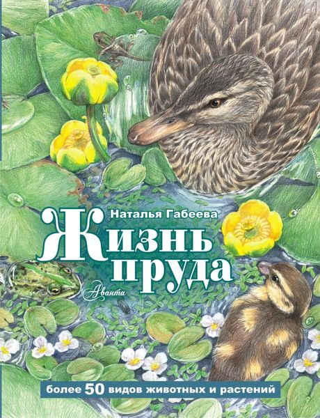 Обложка книги  «Жизнь пруда»