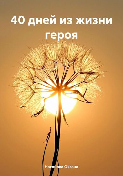 Обложка книги «40 дней из жизни героя»