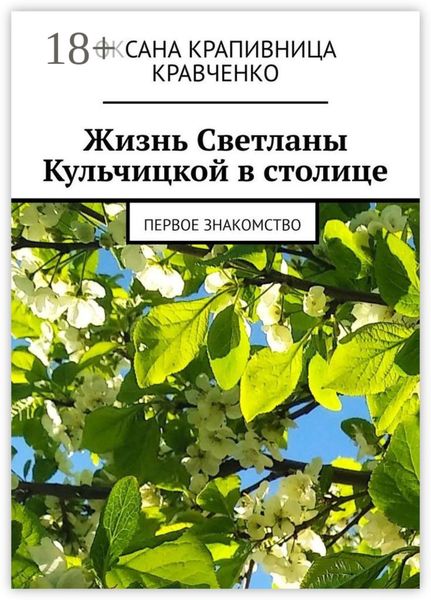 Обложка книги «Жизнь Светланы Кульчицкой в столице. Первое знакомство»