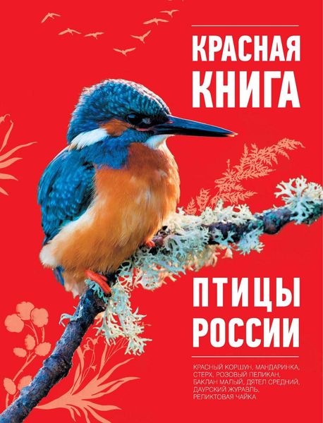 Обложка книги  «Красная книга. Птицы России»