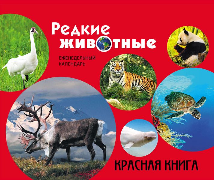 Обложка книги  «Редкие животные. Красная книга»