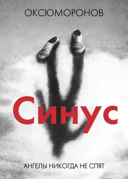 Обложка книги «Синус»