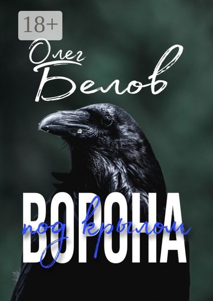 Обложка книги «Под крылом ворона»