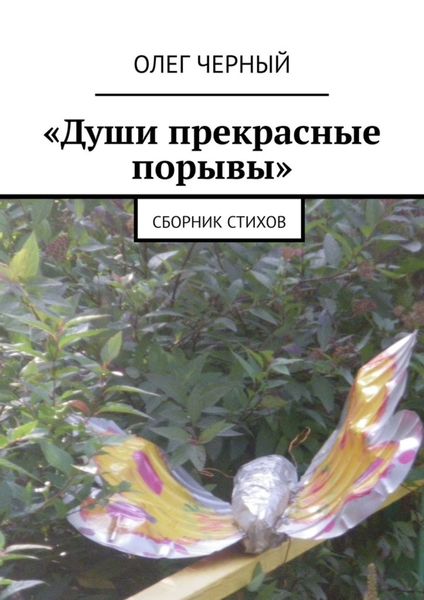 Обложка книги  ««Души прекрасные порывы». Сборник стихов»