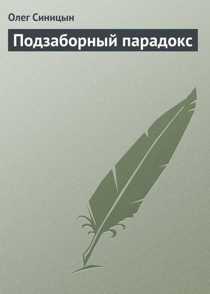 Обложка книги  «Подзаборный парадокс»