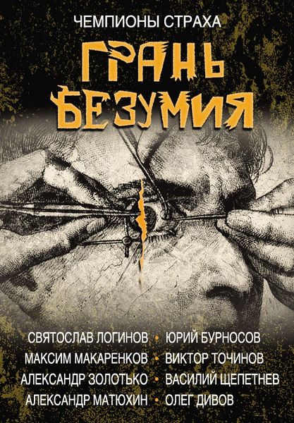 Обложка книги  «Грань безумия»