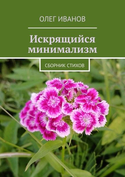 Обложка книги  «Искрящийся минимализм. Сборник стихов»