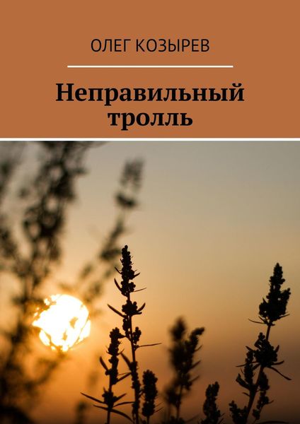 Обложка книги «Неправильный тролль»