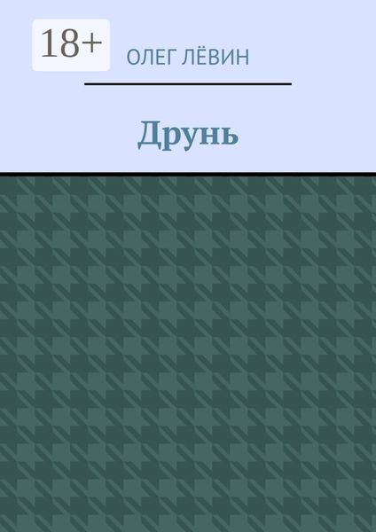 Обложка книги  «Друнь»