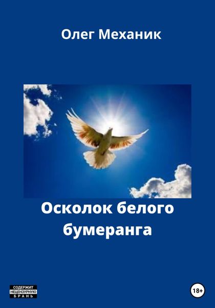 Обложка книги  «Осколок белого бумеранга»