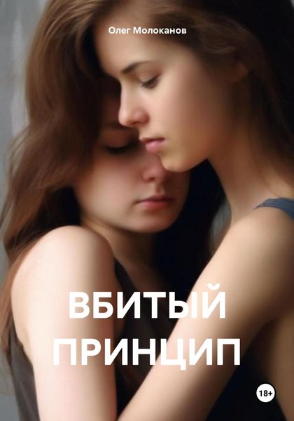 Обложка книги «ВБИТЫЙ ПРИНЦИП»
