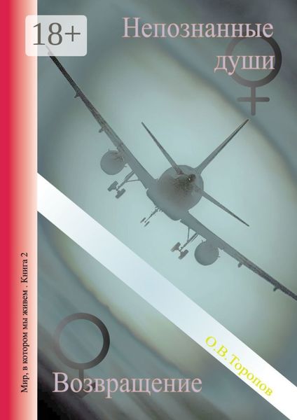 Обложка книги  «Непознанные души. Возвращение»