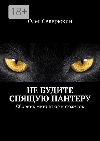 Обложка книги  «Не будите спящую пантеру. Сборник миниатюр и сюжетов»