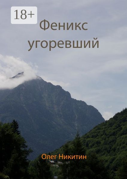 Обложка книги «Феникс угоревший»