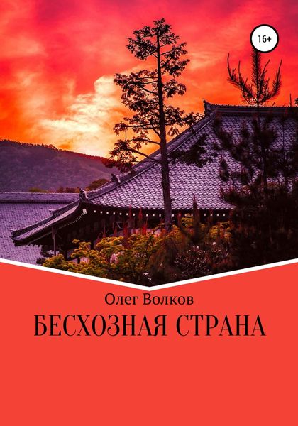 Обложка книги  «Бесхозная страна»