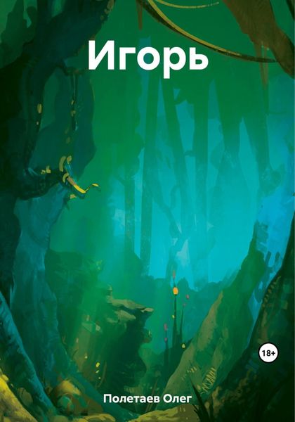 Обложка книги «Игорь»