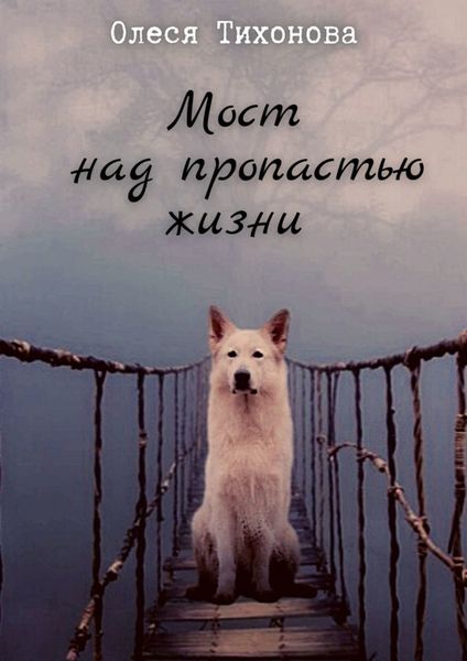 Обложка книги  «Мост над пропастью жизни»