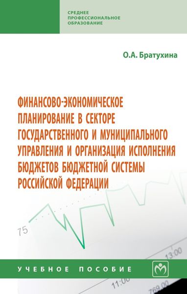 Обложка книги  «Финансово-экономическое планирование в секторе государственного и муниципального управления и организации исполнения бюджетов бюджетной системы Россий»