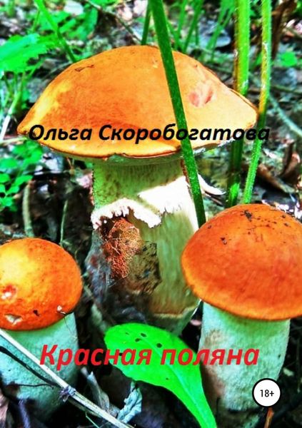 Обложка книги  «Красная поляна»