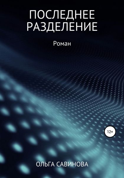 Обложка книги  «Последнее разделение»