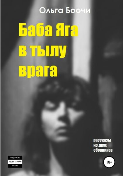 Обложка книги  «Баба Яга в тылу врага»