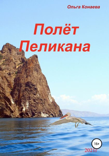 Обложка книги  «Полёт пеликана»