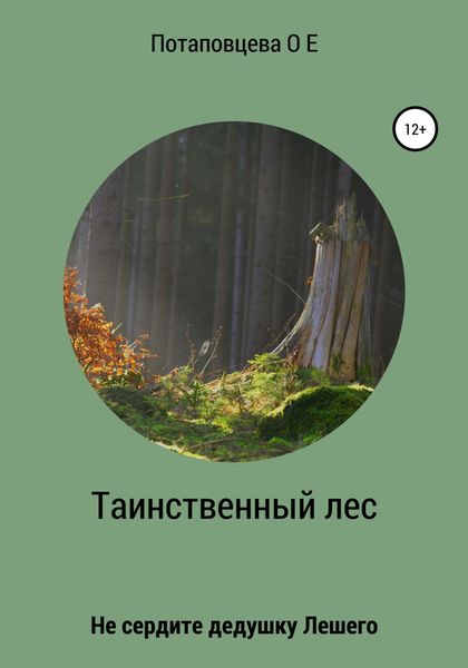 Обложка книги  «Таинственный лес»