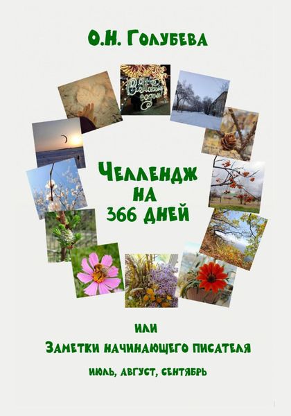 Обложка книги «ЧЕЛЛЕНДЖ НА 366 ДНЕЙ, или Заметки начинающего писателя. Часть 3»