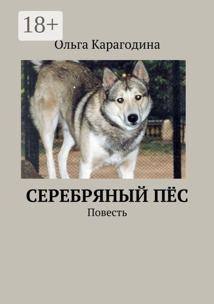 Обложка книги «Cеребряный пёс. Повесть»