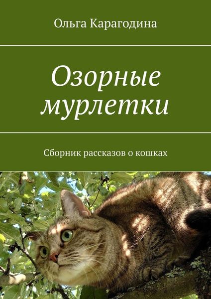 Обложка книги  «Озорные мурлетки. Сборник рассказов о кошках»