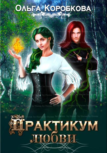 Обложка книги  «Практикум любви»