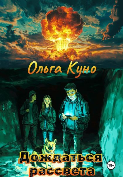 Обложка книги  «Дождаться рассвета»