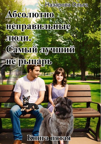 Обложка книги «Абсолютно неправильные люди. Самый лучший не рыцарь.»