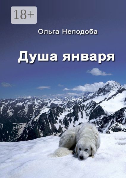 Обложка книги «Душа января»
