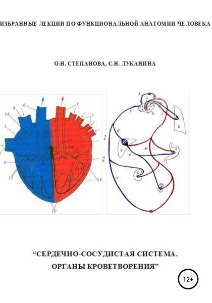 Обложка книги  «Избранные лекции по функциональной анатомии человека. «Сердечно-сосудистая система. Органы кроветворения»»