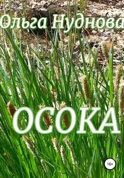 Обложка книги  «Осока»