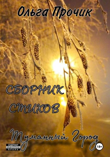 Обложка книги  «Туманный город. Сборник стихов»