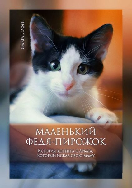 Обложка книги  «Маленький Федя-Пирожок. История котёнка с Арбата, который искал свою маму»
