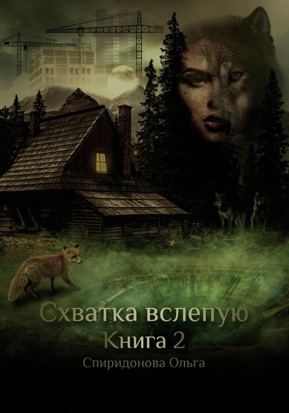 Обложка книги  «Схватка Вслепую. Книга 2»